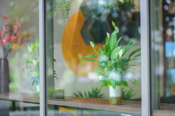 Tarot gratuit : qui peut réaliser un tirage ?