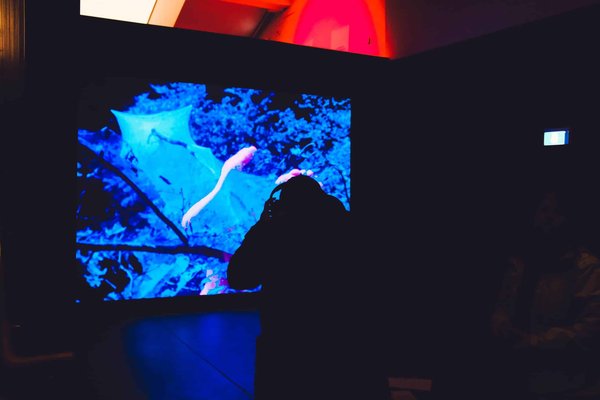 Comment développer un jeu vidéo d'aventure basé sur des explorations sous-marines ?